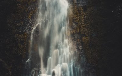 Découvrez comment créer des effets tampon époustouflants sur Photoshop